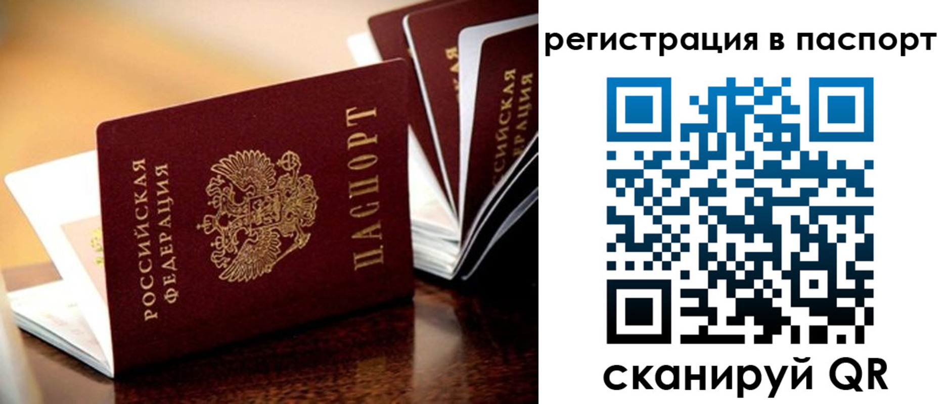 временная регистрация недорого в Кингисеппе